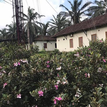 Palm Garden House Ξενοδοχείο Quang Tri Εξωτερικό φωτογραφία