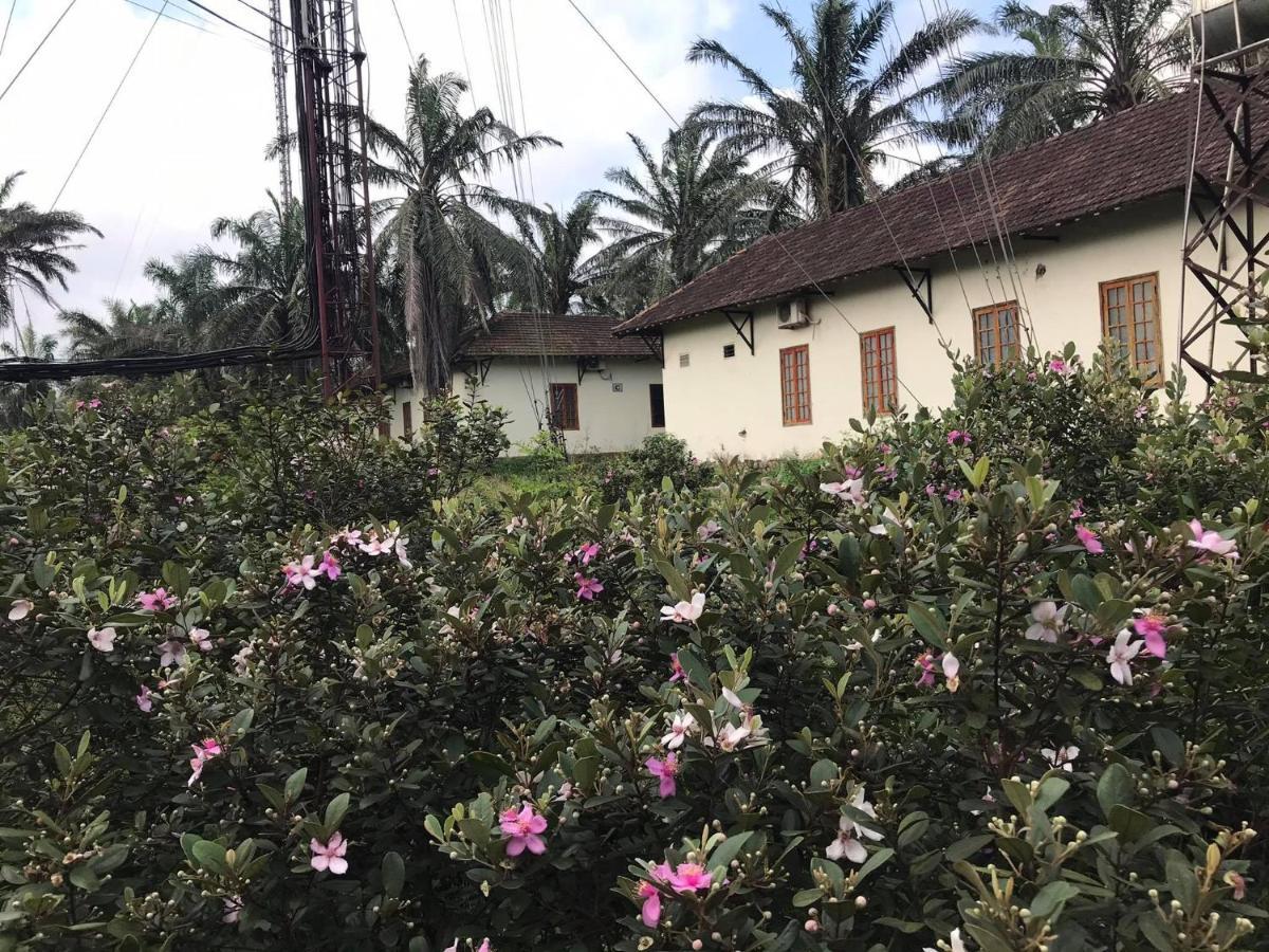 Palm Garden House Ξενοδοχείο Quang Tri Εξωτερικό φωτογραφία
