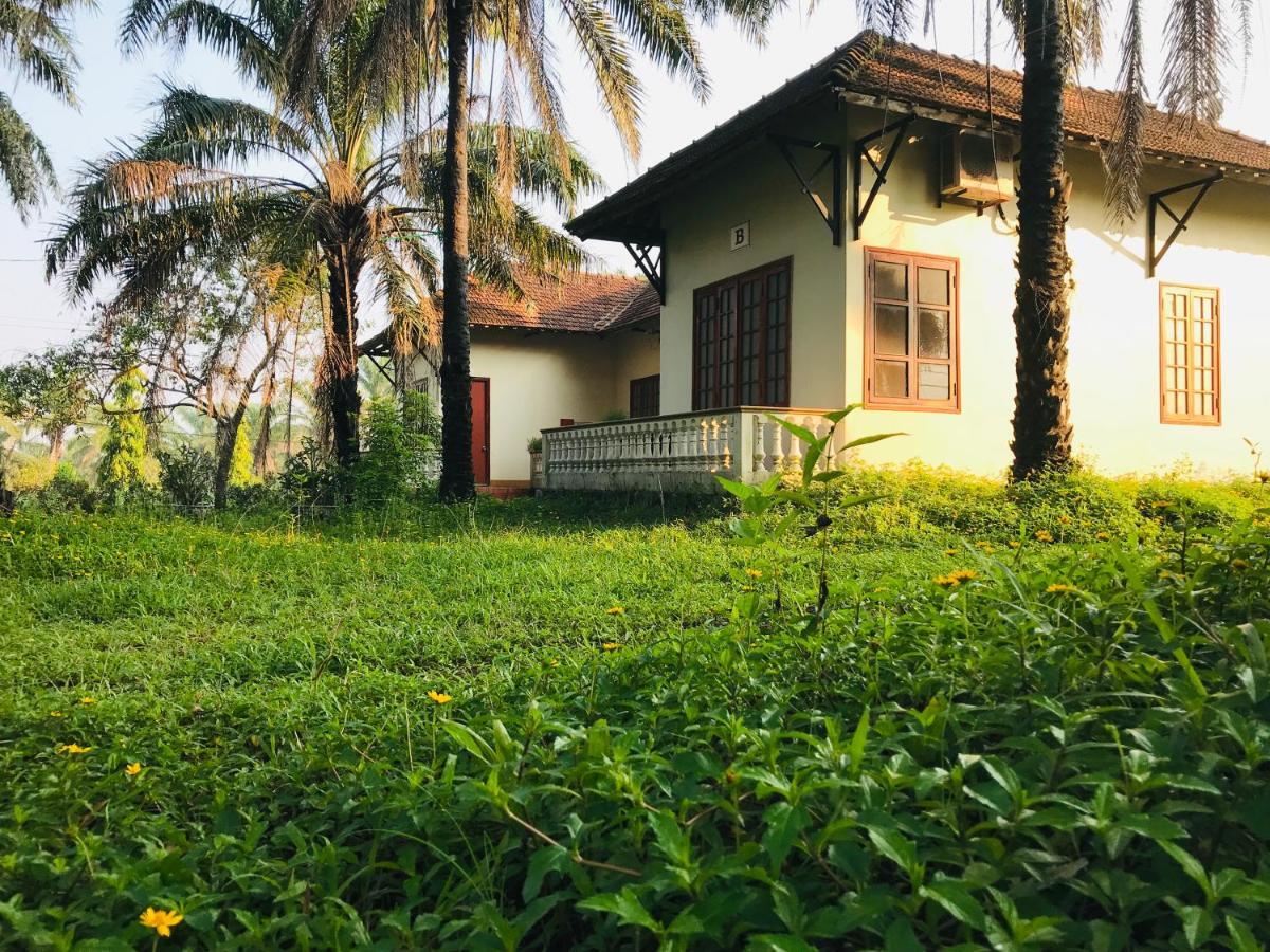 Palm Garden House Ξενοδοχείο Quang Tri Εξωτερικό φωτογραφία